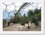 0965-Eden Project * 800 x 600 * (107KB)